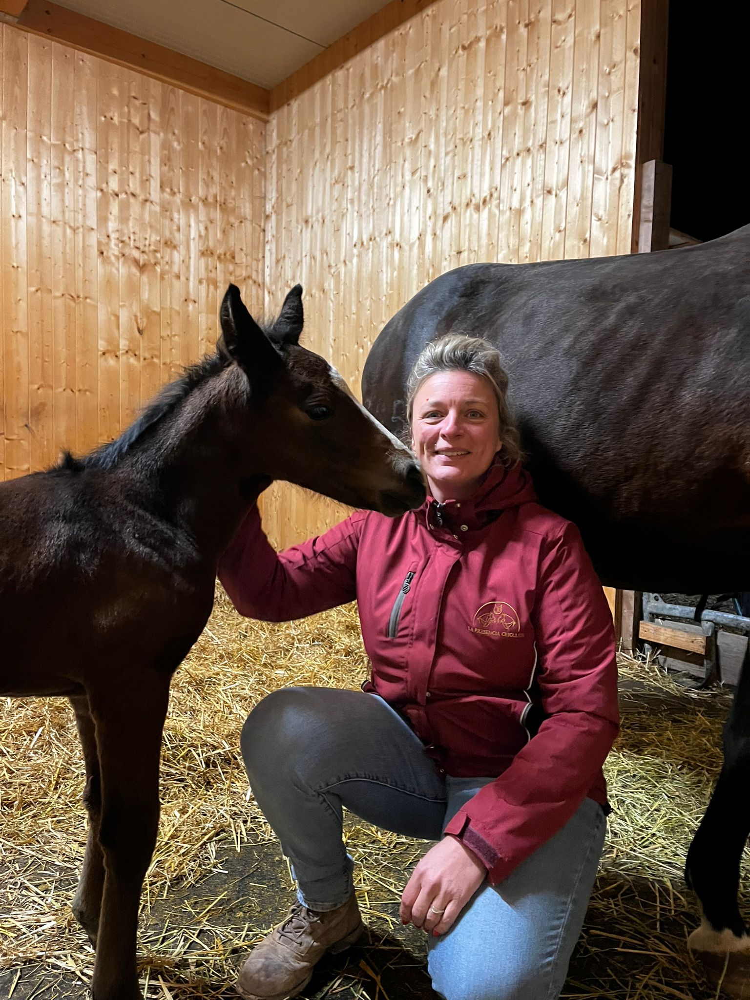 La Presencia Castaño de la noche