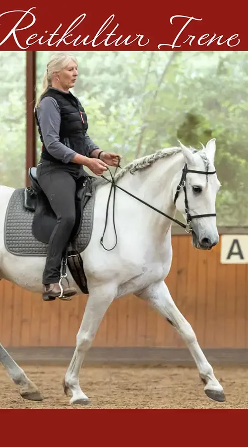 Reitkurs Irene Boss