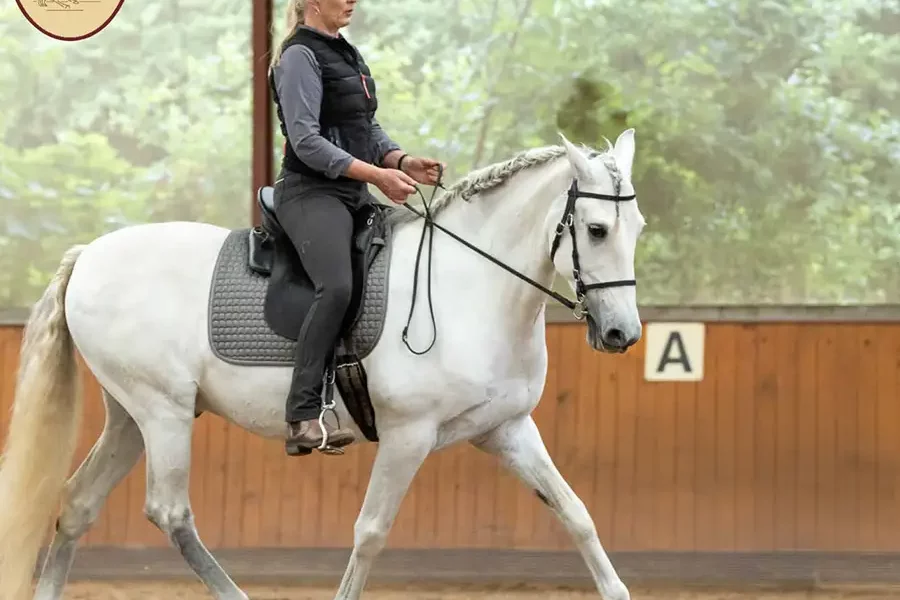Reitkurs Irene Boss