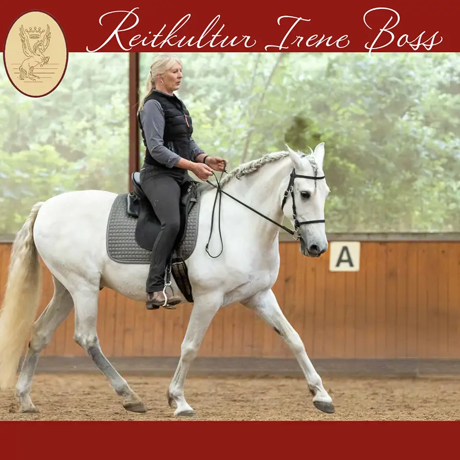 Reitkurs Irene Boss